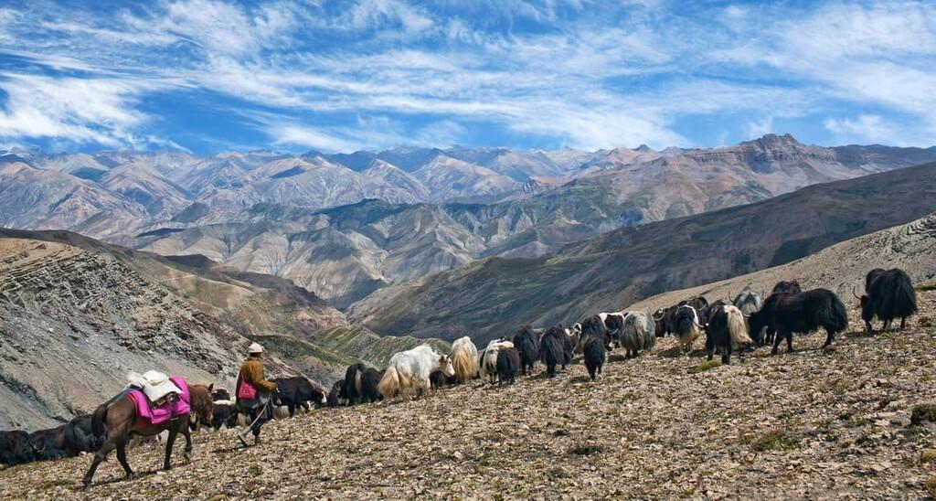 On the way to Shey Phoksundo.