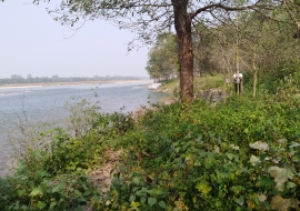 Bardia National Park Jungle Safari