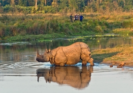 Chitwan Jungle Safari